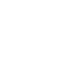 Conquest Forms